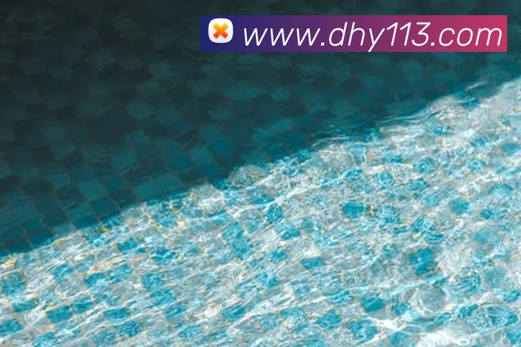 大红鹰平台平台生态图