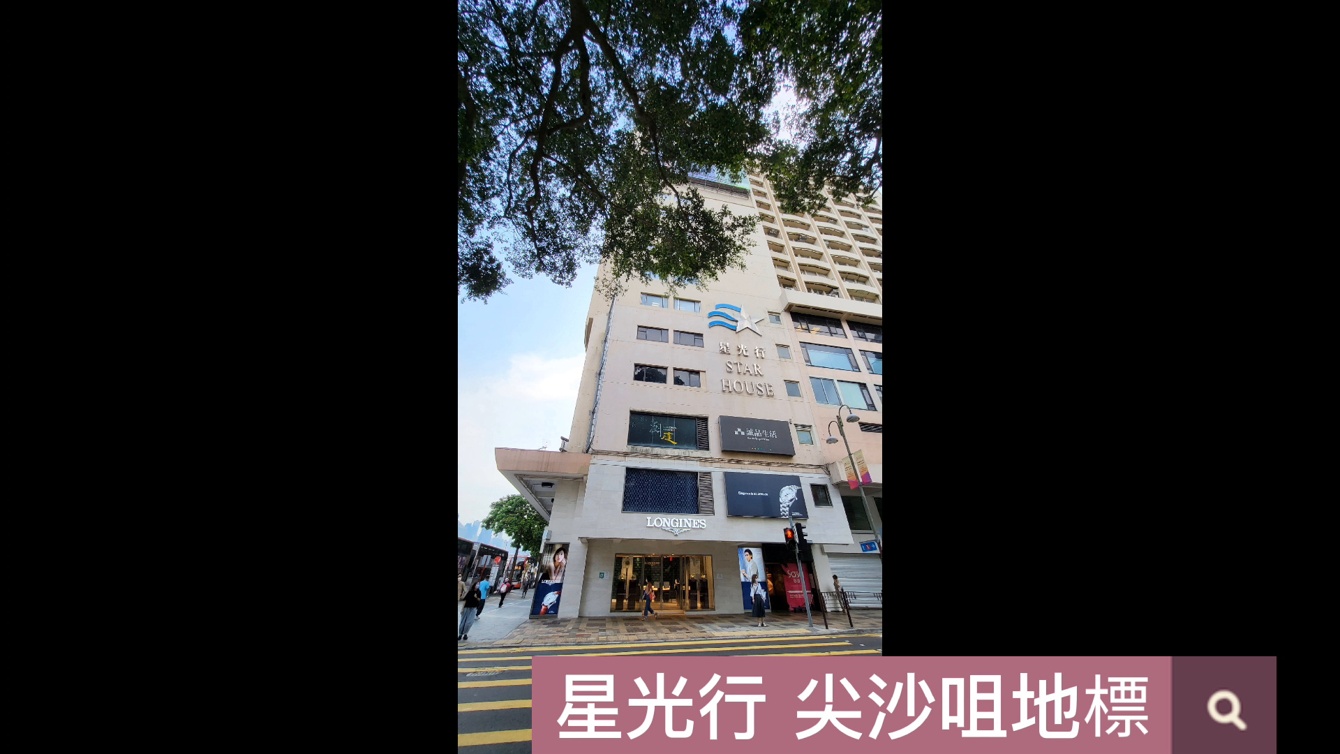 星光行|寫字樓樓盤|中原工商舖