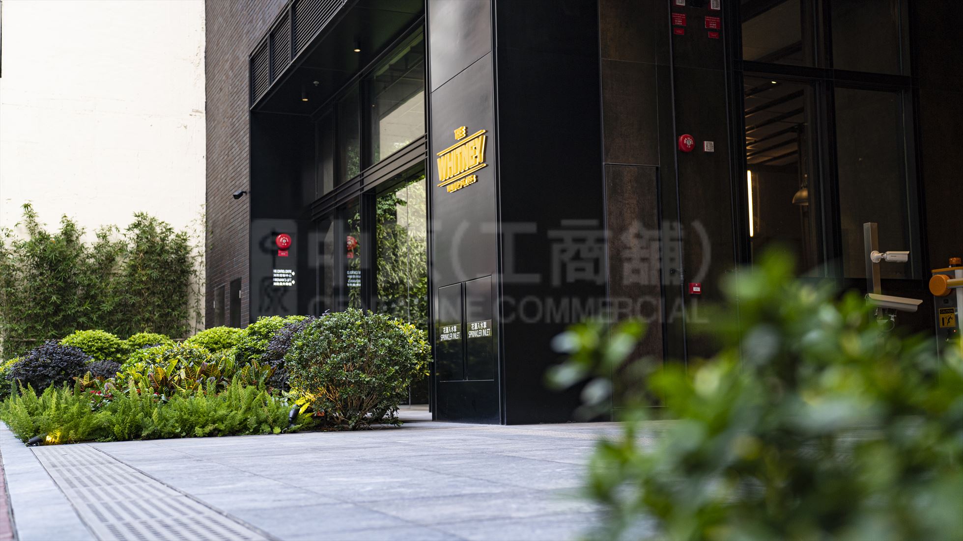 photo materials about the whitney | industrial property | centaline commercial